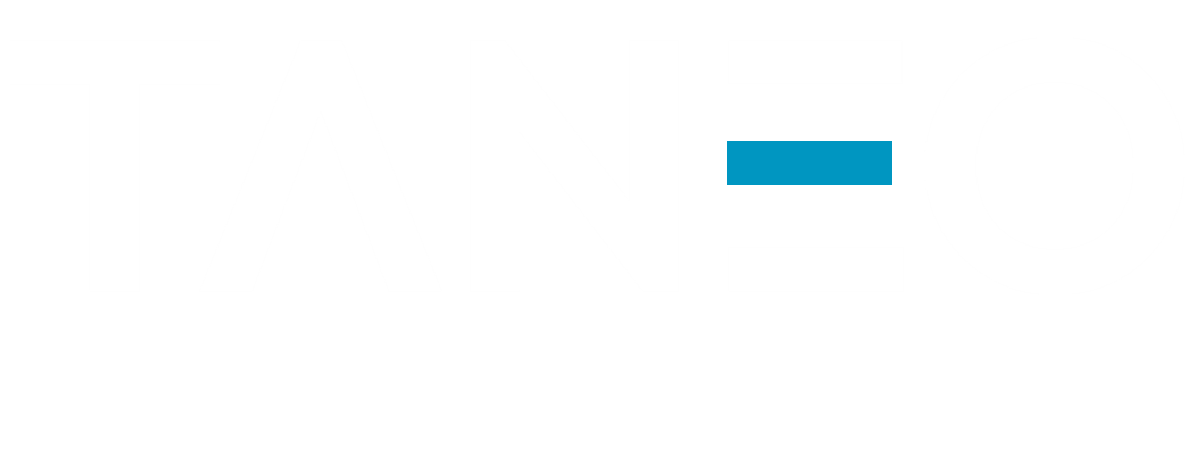 TANEO Consulting